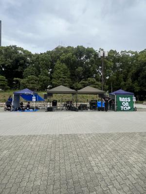 ネオン31