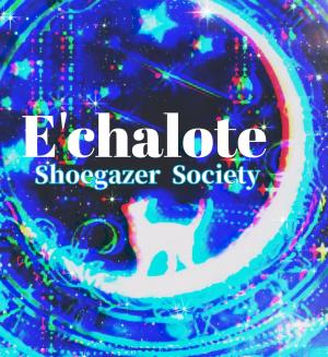 E'chaloteギター募集