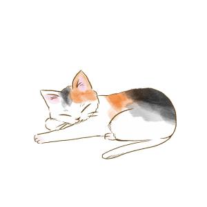 たらこぱすた