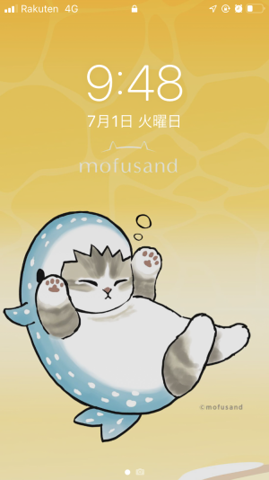 サメにゃんスキー