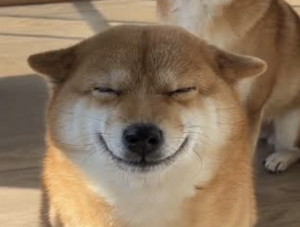 笑犬様