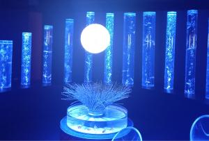 マッスルメモリー