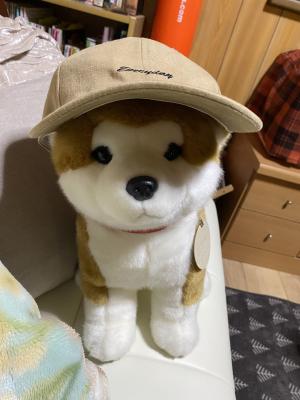 ボック