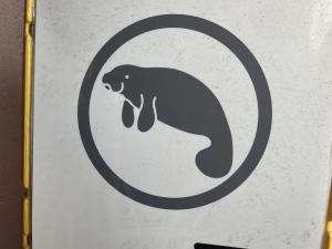 シニカ