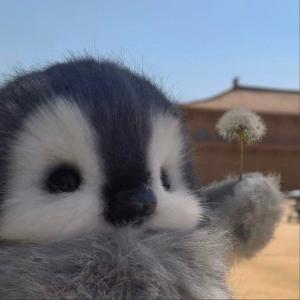 あや222