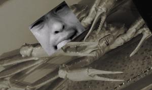 芸人悦次郎中谷一角卍解（ドラマー）