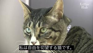 稲荷