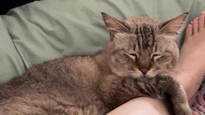 ロンジェ９２０