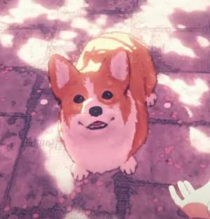 きまる