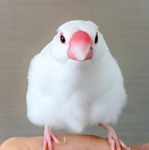 まお01