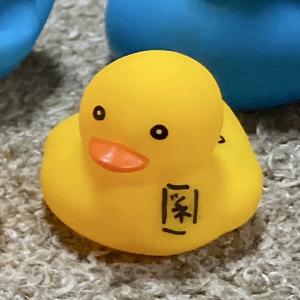 なつアヒル