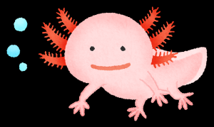 ウーパールーパーもどき