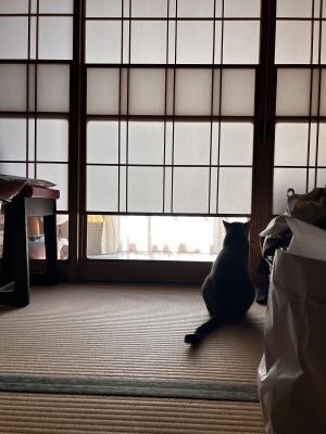 つの丸彦