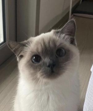 んぽちゃ