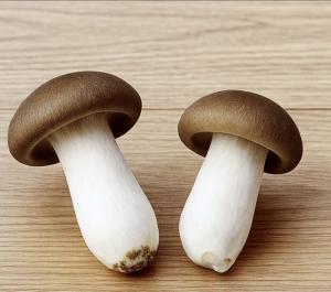 姫路のしめじ！