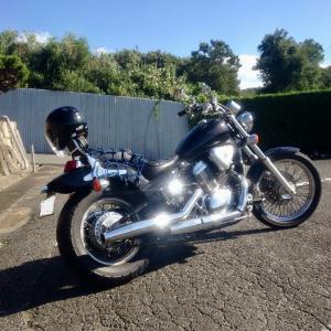 わいるどほーす