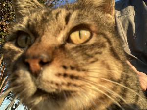 愛してやまない音楽を