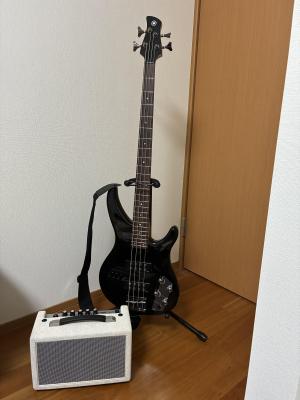 たけのこせろり