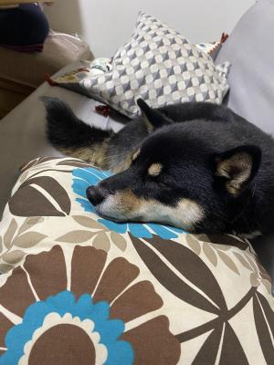 響己