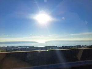 海響　ちい(あまゆら　ちい)