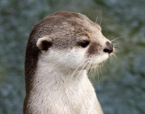 中学生女子ドラマー