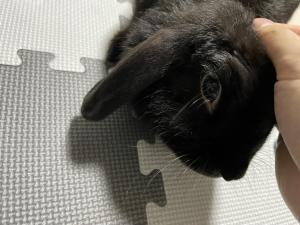 よりko