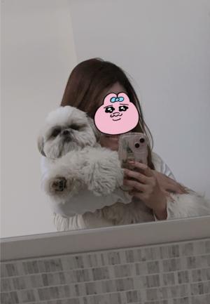 キャサリンキャサリン