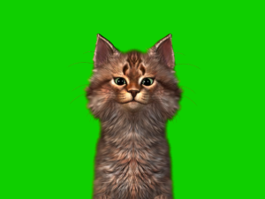 何番目かのプーン