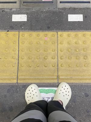 ツチノコ