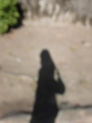 Miyabi.m