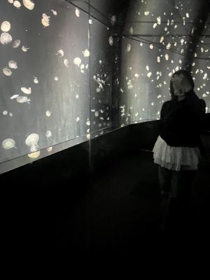 Alice_0625