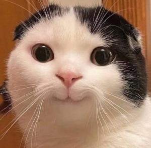れっぴー