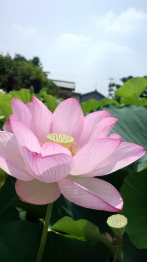 爆速通過点UP