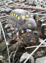 わっふる
