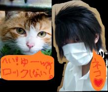 猫鮫・S・猫斗