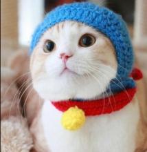 ドラにゃもん