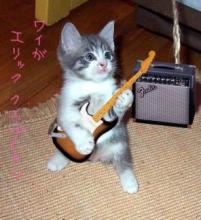 バンドのこと宣伝させてください！！