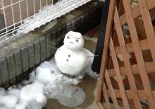太一