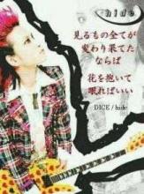 hide